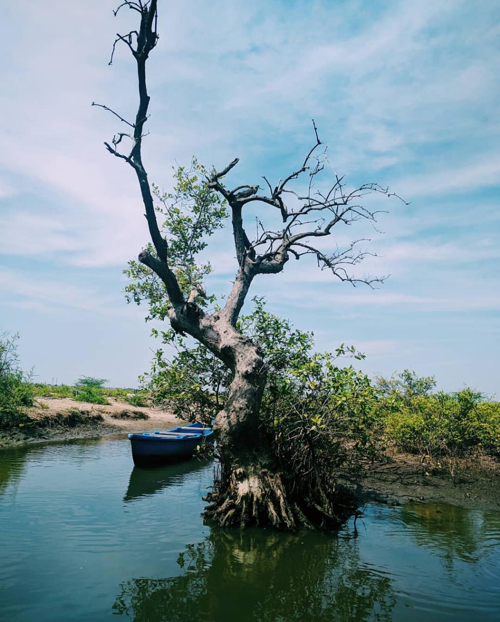 Backwater Boating