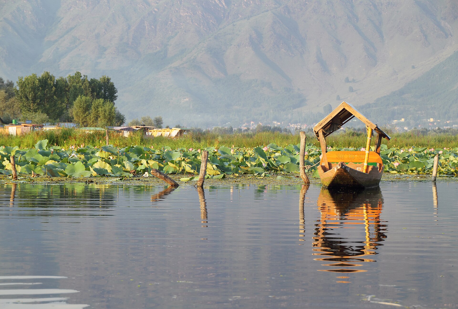 Kashmir Dal Lake