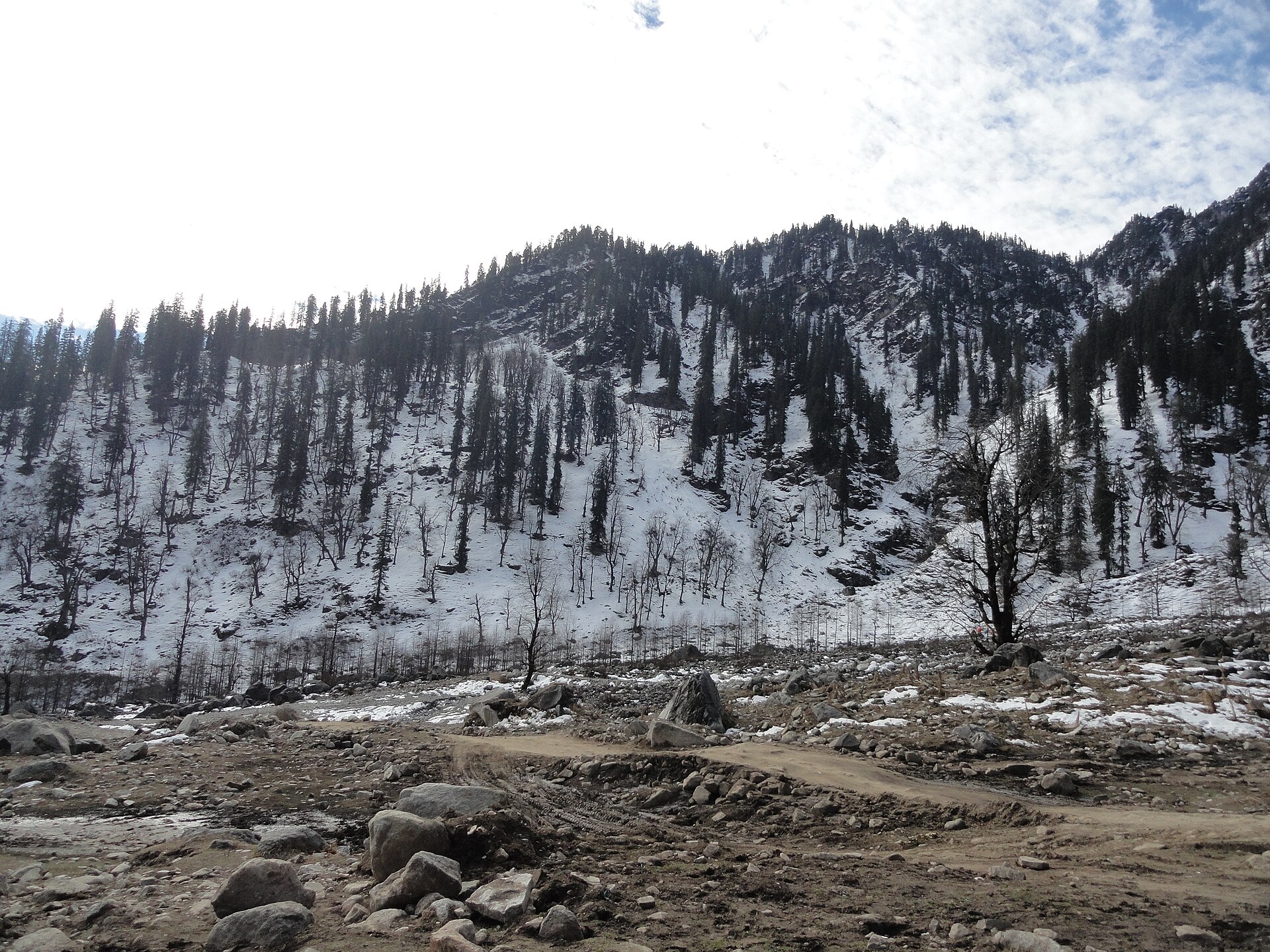 Himachal, Shimla & Manali