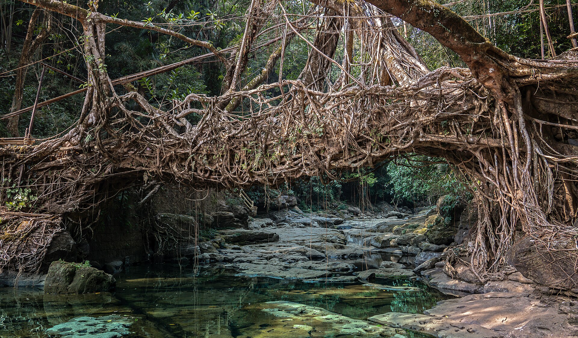 Meghalaya
